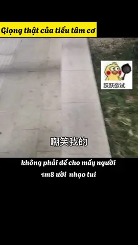 🤣 tiểu nãi cẩu #traxanhnam #xh #2024 #tiengtrungmoingay #thanhkhong #jiejie #gege 