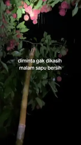 makanya jangan pelit#ninjamalam🤪 #kaumemangterbaikman #fyp 