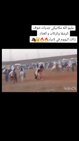 #فرسان_برقه🖤🔥✊🏻 #فرسان،برقه،500k #احفاد_المختار👌🏼🇱🇾 ##احمد_شحات_المتر  #حمادي_بوقعيره @شحات عبدالله216 