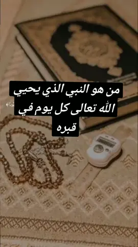 #pシ #y #foryou #🤲🤲🤲 #pourtذ ###vs#pما هو النبي الذي يحب الله كل يوم في قبره ه