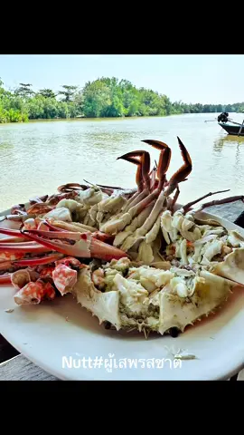ลองมาแล้วพลาดไม่ได้ อยากโดนต้องตาม กับ Nutt ผู้เสพรสชาติ ชื่อร้าน 🤭 📍ร้านยิ้มโภชนาซีฟู๊ดส์ ชุมพร พิกัด : ชุมพร ทีเด็ดของร้านคือ อาหารทะเลสดๆ กินปูจุกๆๆ ทั้งปูดำ ปูม้า  ร้านดีมากแกะให้แบบพร้อมกินเลย พลาดไม่ได้อีก1 ร้าน อยากฟินตามมาเลย #ณัฐพามู  #ณัฐพากิน #ผู้เสพรสชาติ #tiktokพากิน #tiktokรีวิว #ปักหมุดร้านเด็ด #tiktokพาเที่ยว  #เสพเพื่อสุข #สุขที่ได้เสพ #ต้องมาโดน #เด็ดจริงไม่จกปาก #ร้าน  #ปักหมุดร้านอร่อย #ปักหมุด #ร้านดีบอกต่อ  #พลาดไม่ได้ #บันทึกการเดินทาง #tiktokชวนกิน #ร้านเด็ดพลาดไม่ได้ 