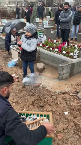 mekânın cennet olsun canım kardeşim ölüm sana yakışmadı beratcan 😢😢