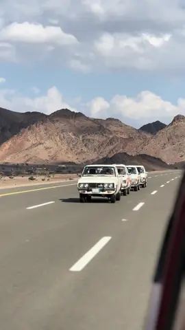 #المشا 