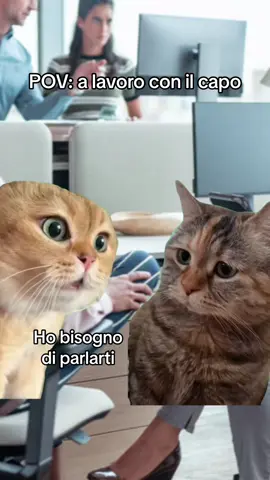 #CapCut #memelavoro #postodilavoro #capo #litigare #perte #stipendio #meme #Meme #MemeCut 