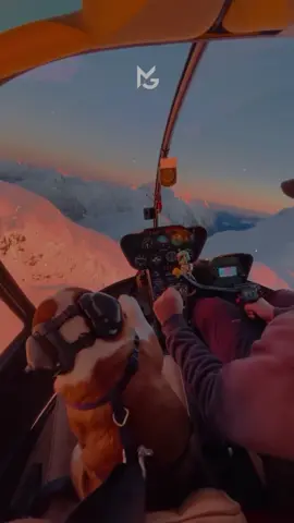 Life 💸🖤🧠 #luxury #rich #success #wifimoney #millionaire 