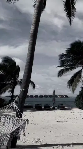 #binomiodeorodeamerica #romanticosparadedicar #elcoste88 #clasicosinolvidables 