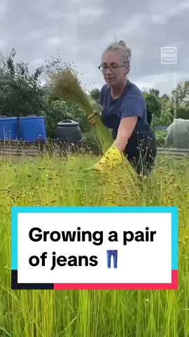 This woman *literally* grew her own pair of #jeans in ‘an act of rebellion against #fastfashion’ — watch how 👖 #fashion #DIY #clothing