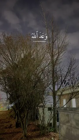 القرآن 🫀🌹#quran #jumamubarak #tiktokteam #donnotunderreviewmyvideo #fypシ゚viral #burhan_tv #kashmirigroup #virall #hehe #growmyaccount #growupwithme #fy #urdupoetry #haiderwrite_s @TiktokPakistanOfficial @TikTok Türkiye 