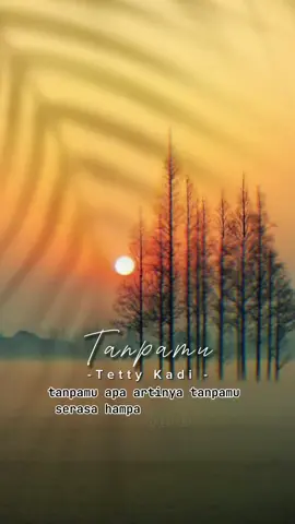 #CapCut #liriklagu #kenangan #nostalgia #fyp #indonesia #tanpamutettykadi#putoesoemi 