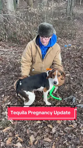 Replying to @Maci Grace #dogsoftiktok