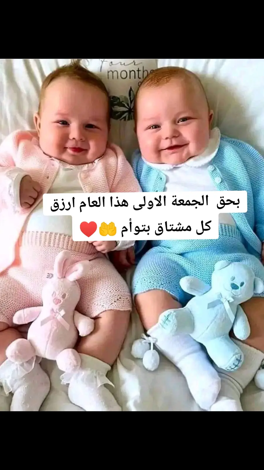 #قناةأناشيدأطفال #التوم#التوم#طيورالجنة #إعملوإعادةنشر 