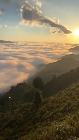 Tà Xùa đẹp như một bức tranh 🥰🥰 #xuhuong #sanmaytaxua #xh #vietnam 