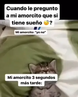 No entiendo cómo se duerme tan rápido ❤️😂 confirmen si es asi #amortoxico #parejas #novios #memecut😂😂😂😂 #humortiktokoficial #memestiktoks #gatitostiktok😻 