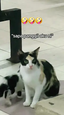 Mak Garang, Anak Jiwang 🤪 #fyp #viral #trend #kucing #cat 