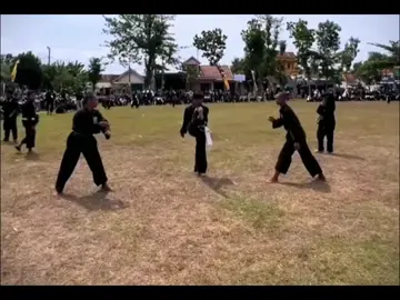 jurus terbang #fyppppppppppppppppppppppp #fyp #fypシ #fy #fypシ゚viral #beladiri_indonesia #beladiri #pencaksilatindonesia🇮🇩 #pencaksilatindonesia #psht #pshtpusatmadiun #viraltiktok 