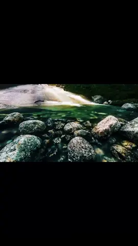 Jesús Adrián Romero -  Estar a tus Pies 🙏 #Jesusadrianromero #estarasuspies #Dios #Jesus #God #Alabanza #Alabanzas #hagamosviralajesus #musicacristiana #alabanzas_cristianas #adoracioncristiana #musicacristianatiktok #thanksjesus🙏🙏 