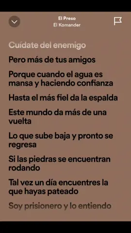 🫡🫡 #elkomander #music #letrasdecanciones #viral #fyp #spotify 