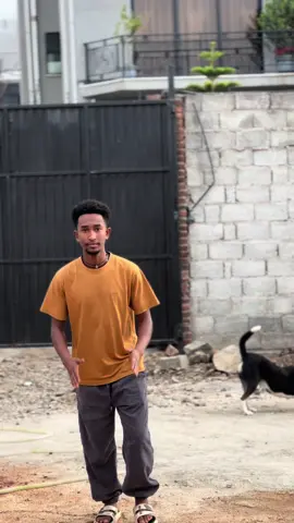 Replying to @ፈቲ🦋 #bisre08liive #habeshatiktok #ethiopian_tik_tok @bisre08live 