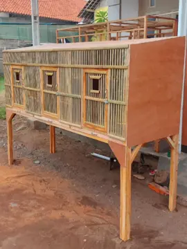 Kandang jerapah, Nih ada lagi kandang 3 plong untuk ayam jago minta kaki panjang biar gak pacroh ama yg diumbar dan atap miring buat pasang asbes....  #JagoWangi #kandangayam #banyuwangi #dutakandangayam 