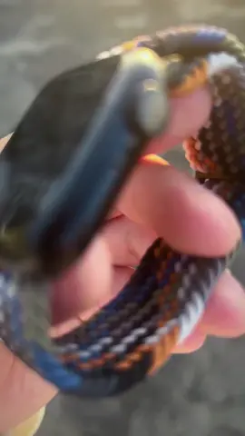 😍Another nylon braided slide buckle strap for overtaking in corners! ! !
 
 
 
 #iwatchstrap I like this sliding adjustment, especially the polished slide buckle. [Longboard R] The therapeutic feeling of sliding on the nylon material like walking! ! ! Just love it! ! ! 😍[Drink milk tea R][Drink milk tea R] #romanticliferecorder #iwatch strap sharing #watch strap #iWatch #科技digital #applewatch #nylon woven strap #applewatch strap #watch strap #iwatch strap #contemporary young people’s left hand #apple watch #apple watch strap #sliding buckle #