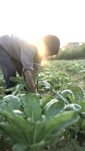 #康仔农村人生活 #老小孩 #上推薦通知我 #美食分享 