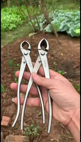 Giảm giá tri ân cuối năm #xuhuong #dungcunongnghiep #keocatdanangsk5 #dungculamvuon #keotiacaycanh #tunglam 