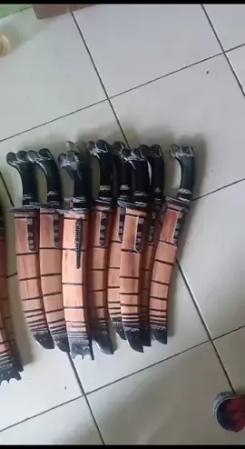 #golok galonggong#galonggong#manonjaya#tasikmalaya#asligalonggong#