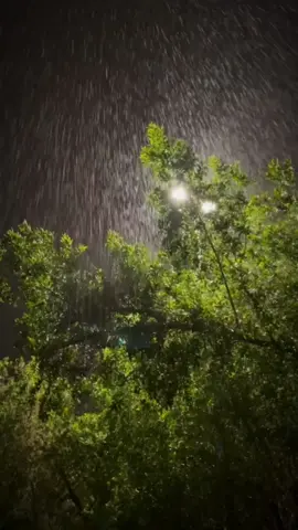 حسن شريف ئەو باران بون بارین یان ئەو روندکین من بون 😮‍💨🫀💔#دهوك #زاخو #ئاكري #سليماني #اربيل #دهوك_زاخو_سليماني_ئاكري_ئامیدی_هولیر 