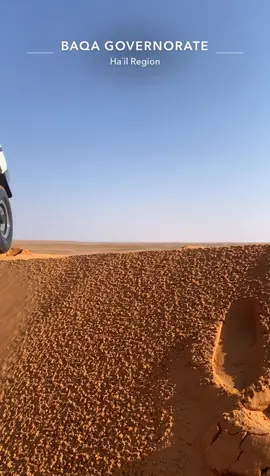 - الجيب ساري😍👌🏻# اكسبلور# تربه #نفود_حائل  