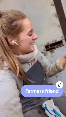 Ignore the sh!t on my face, please and thank you 💕 p.s have no idea why tiktok changes the font size once I've posted 🫠 #agrilife #farmersfriend  #farmlife #agrilass #womaninag #beeffarm 