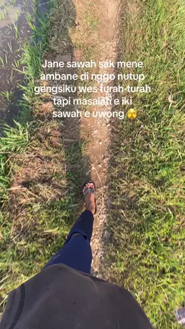 YTTA 🤪 #petanimuda #petaniindonesia #petanisukses #fypシ #fypシ゚viral #petanipadi #storywa #gabahbalap #bahanswmu 