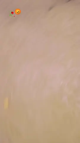 tesh pa yawo nazar zama dushman bia tenge de nashe#pleaseviral #viralvideo #CapCut 