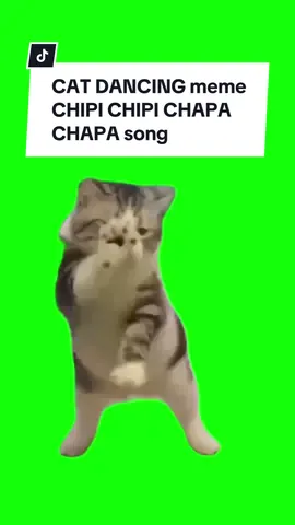 #CapCut CAT DANCING meme. CHIPI CHIPI CHAPA CHAPA.  #greenscreen #greenscreenvideo #greenscreenoverlays #fyp #fypシ #fypage #fypppppppppppppppppppppppppppppppppppppppppppppppppppppppppppppppppppppp #fyppage #fypシ❤️💞❤️ #meme #memes #memestagram #freefirememe #memepage #viral #viralvideos #viralreels #viralvideo #viralpost 