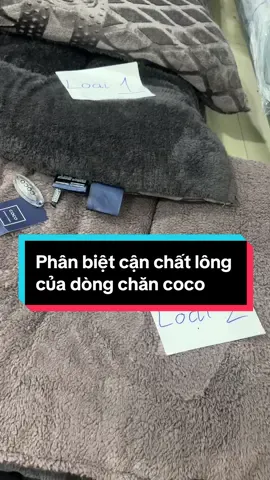 Phân biệt cận chất lông dòng chăn coco lông thỏ #changagoidem #changagoinamia #chanlongtho #2024 #happynewyear 