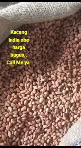 Importir kacang India, siap supply minor 8ton harga bagus........yuk dikepoin