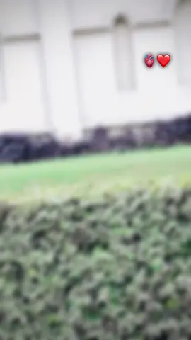 #trendingay #Ya Ali MaDad🤚🫀#foryourpage #foryou #fypシ #unfrezzmyaccount #onthisday #@zainhassan_442 @ALI HASNAIN🥀 #saithalihasnain 