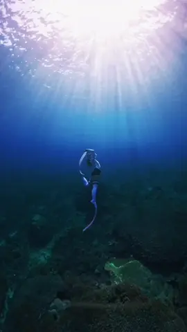 where the sun kisses the sea.. ☀️🌊 #exploreindonesia #nusapenida #pesonaindonesia #fyp #freedivegirls #freedivingindonesia #freedivingvideo #freedivingphotography #nusapenidabali #healing #diving #wonderfulindonesia #traveltiktok #travellife #baliphotography 