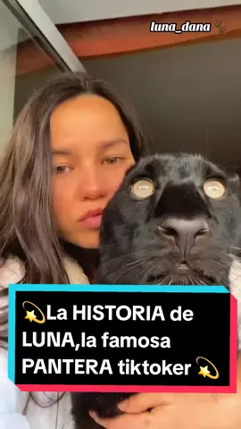 💫La historia de LUNA la PANTERA 🐈🐾que enamoró a todas las redes sociales junto a su mejor amigo el ROTTWEILER #panteranegra #rottweiler #perrosfelices #gatitosgigantes #mascotas#panteraluna #lunathepanthera 