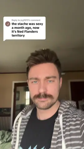 Replying to @jcg9013 #greenscreen  #nedflanders #thesimpsons #nedflandersishot 