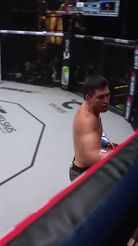 History made as Peru's First MMA World Champion was crowned 🇵🇪🏆 #pflmma #mma #combatsports #sports #2023 #jesuspinedo #peru 