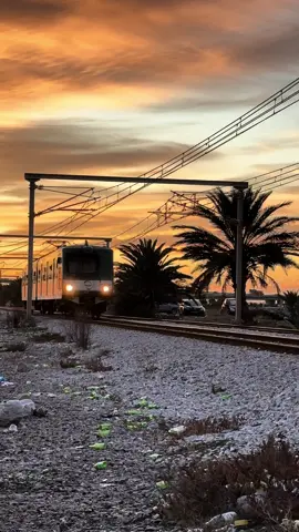 عندما قاومت وحدي .. ❤️‍🩹#samara #tunisia #algeria #lybia #maroc 