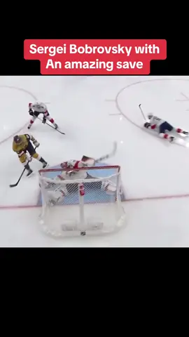 Sergei Bobrovsky still got it sometimes… #puckstuffpodcast #foryou #trending #hockey #NHL #highlight #floridapanthers #save #goalie #sergeibobrovsky 