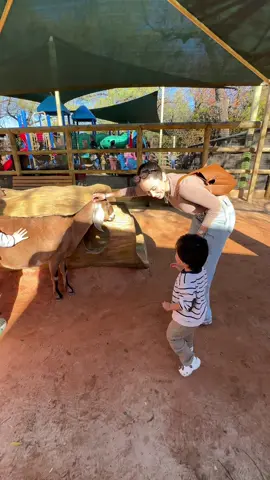 Something about the zoo makes my heart so happy😭🦒💘 #dayinmylife #carvlog #shoppingvlog #trending #familyday #momanddad #motherinlaw #MomsofTikTok #dayvlog #zoo 