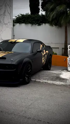 The Panther is asleep #Challenger #challengerhellcat #dodgechallenger #challengerredeye #srt #hellcat #bphellcat #mopar #dodge #dodgemexico #moparornocar #challengerwidebody #redeye #hellcatredeye #matteblack #mattecars #blackmatte #dodgefamilyy #bphellcat #dodgedomain #v8hub #worldofmusclecars #moparclub #worldofmusclecars #blackghost #instacar #instacars