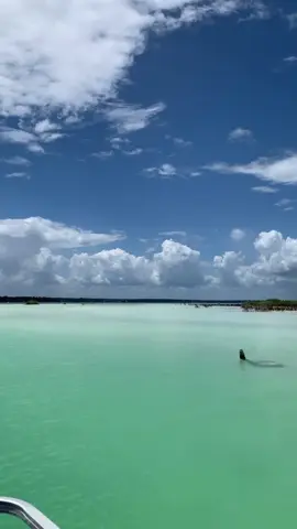 ☁️🐠🩵 #foryou #fy #fyp #fypシ 