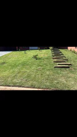 #corredegrama#recuperaçaodegramado#jardinage#vithalinutricion #adubos 