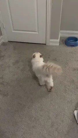 Heidi thought her mom wanted in the room to be with her but really Summer wanted to come hangout with me 