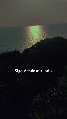 🎶 De tanto que tropiezo, ya sé cómo caer... #shakira #corazongitano  #Lima #sanisidro 