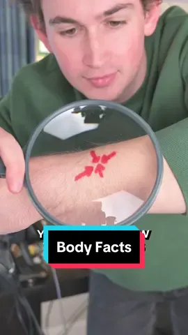 Here are the 3 most unsual facts I learned about the human body.. #Science #fyp 