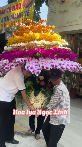 Lan hồ điệp trưng sảnh Ngân hàng về nhà khách, ngọc Linh chuyên tư vấn thiết kế các bình hoa Siêu to khổng lồ cho khách ạ#hoaluacaocap #Hoaluanhapkhauloai1 #Hoaluanhapkhauloai1 #HoaLuaCaocap #HoaLuaCaocap #hoaxinh #hoatrangtriphongkhach #